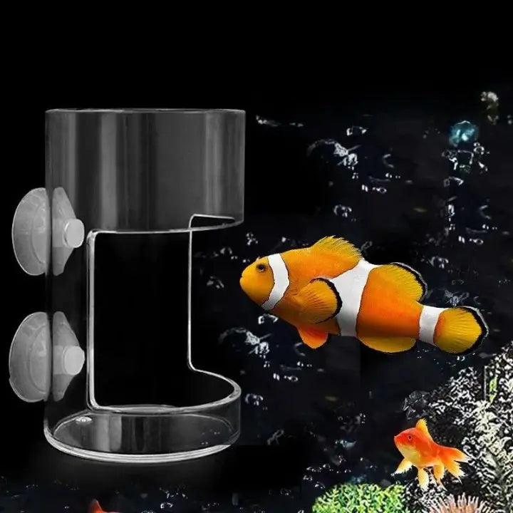 BowLift | Aquarium Feeding Station with Suction Cups – Clean & Targeted Feeding