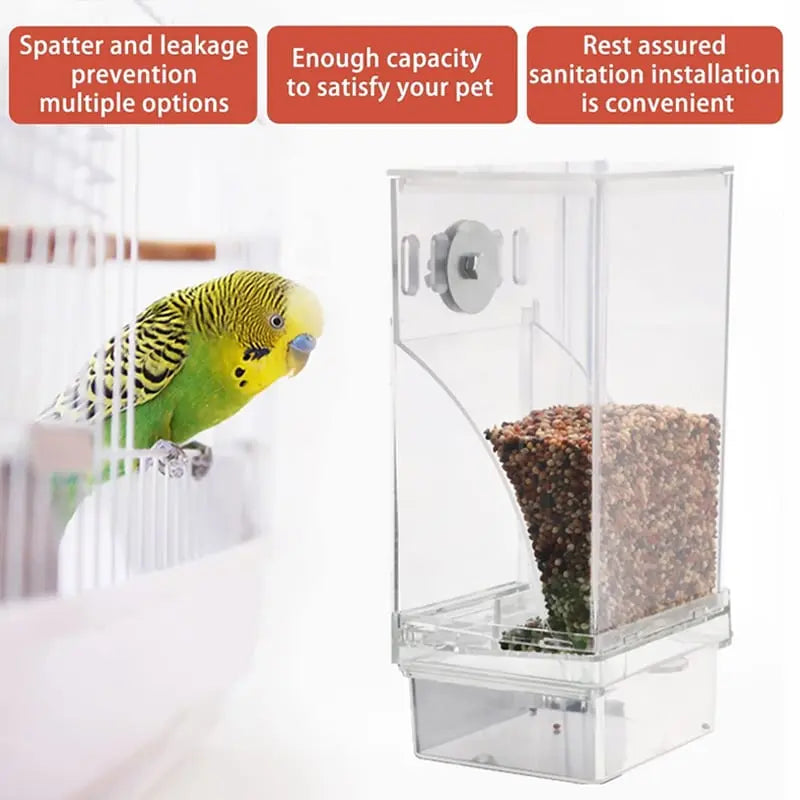 BowLift | Automatic Bird Feeder – No Mess, No Stress
