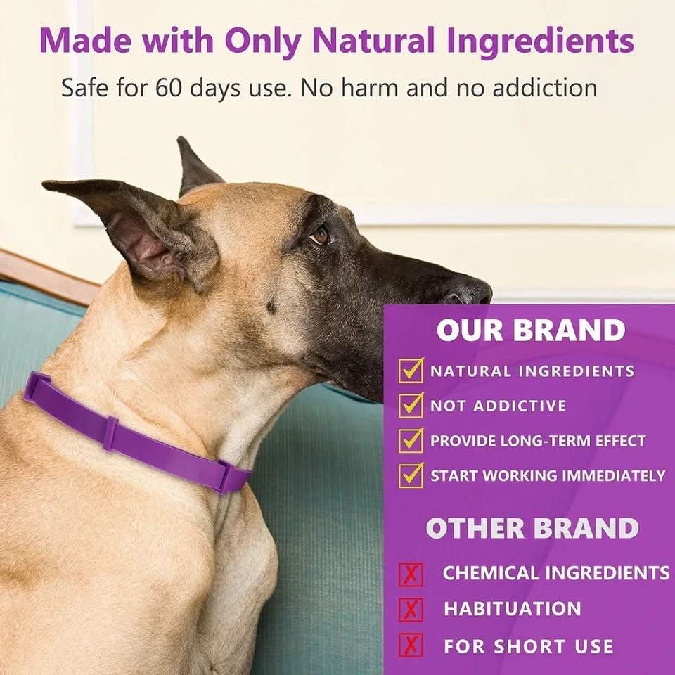 BowLift | Calming collar with pheromones & essential oils for dogs
