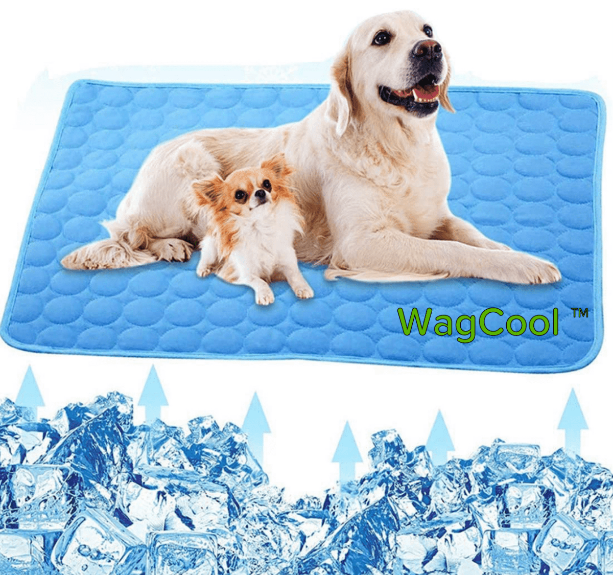 BowLift | Cooling dog mat for hot days & instant refreshment