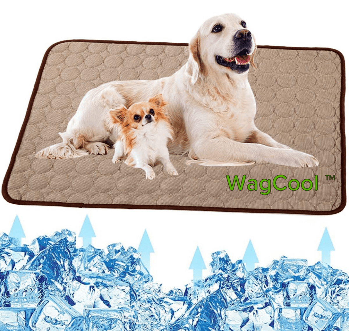BowLift | Cooling dog mat for hot days & instant refreshment