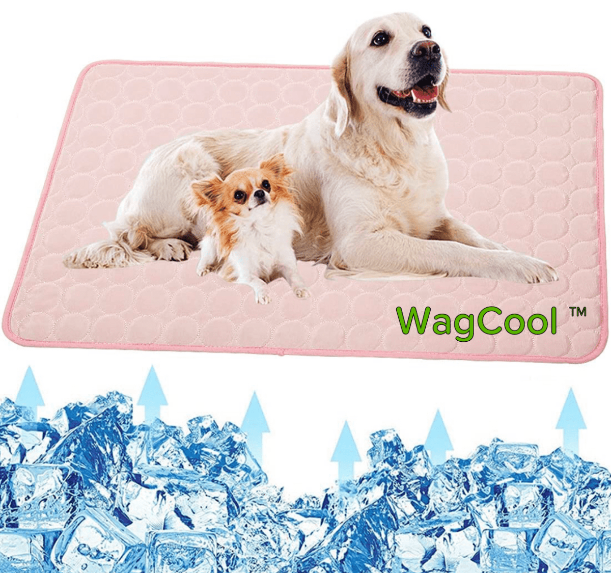 BowLift | Cooling dog mat for hot days & instant refreshment