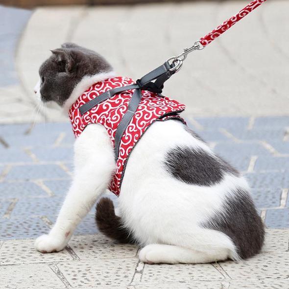 BowLift | Cat Vest Harness and Leash Set to Outdoor Walking