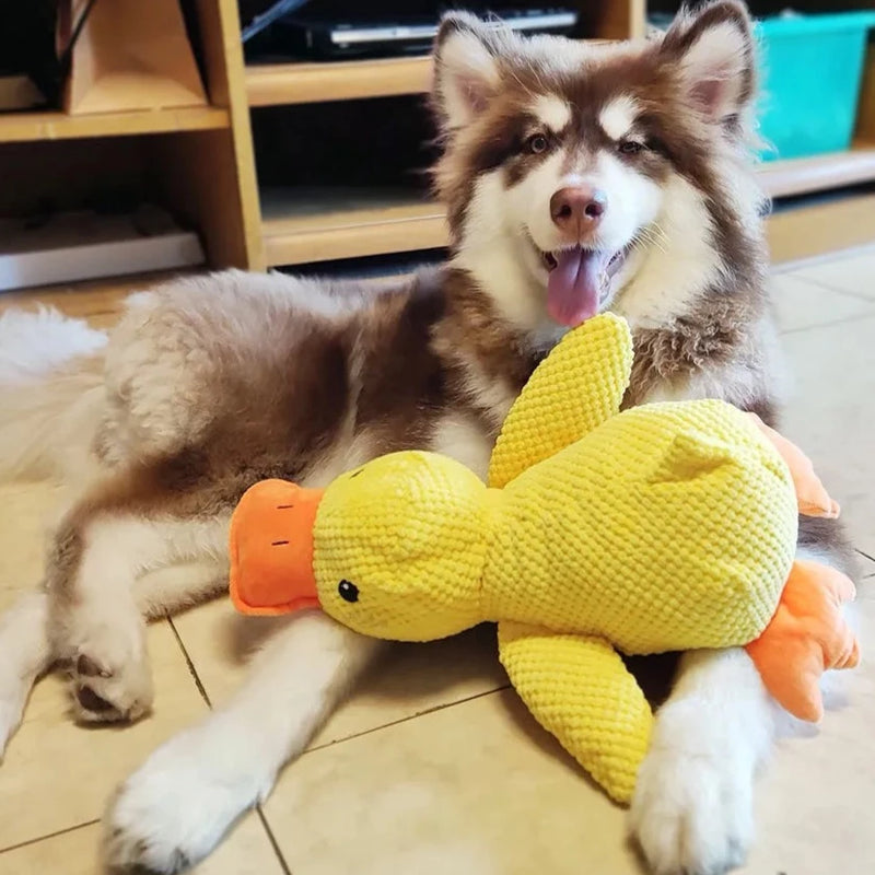 BowLift | Calming duck for dogs