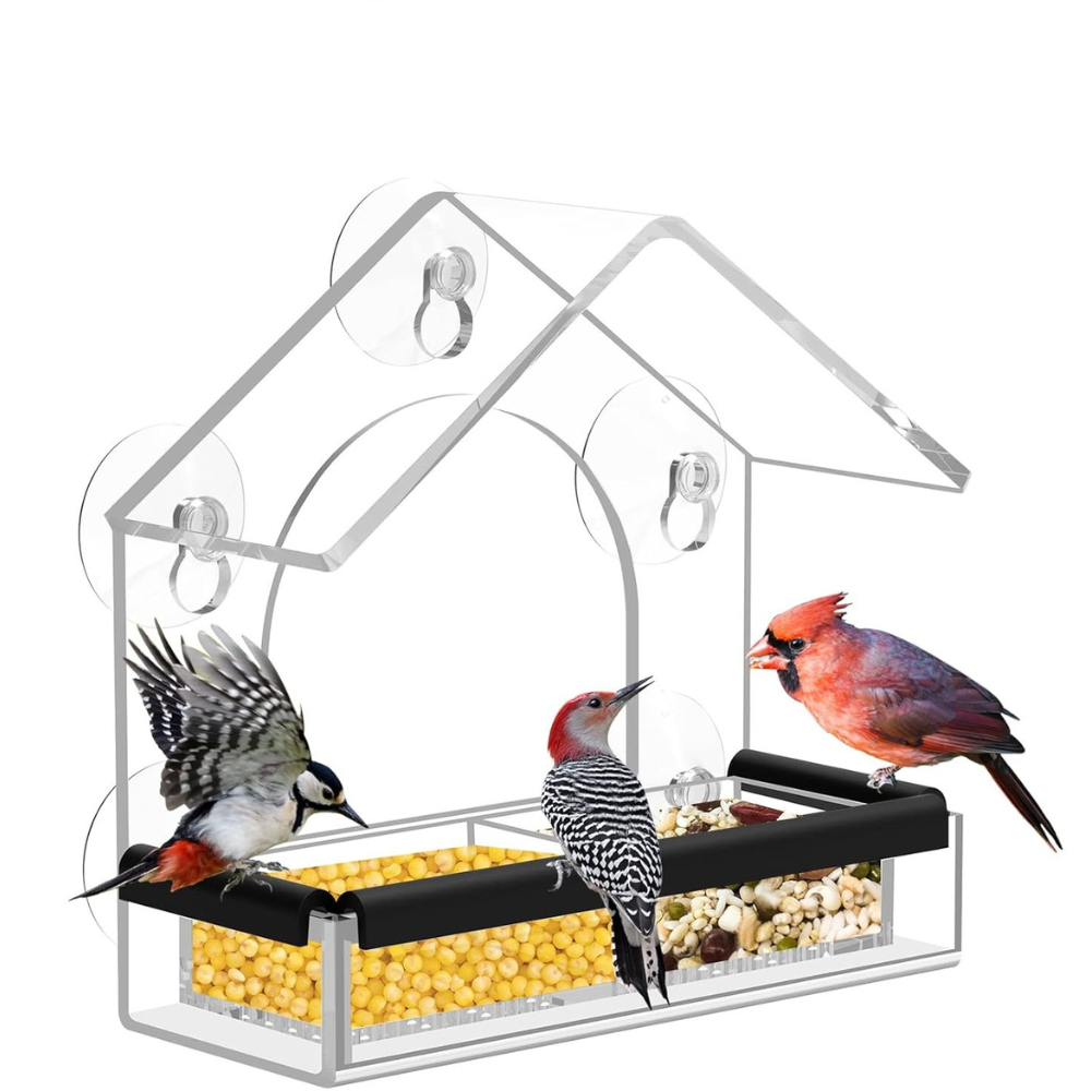 BowLift | Bird Feeder Clear Acrylic Window Suction House