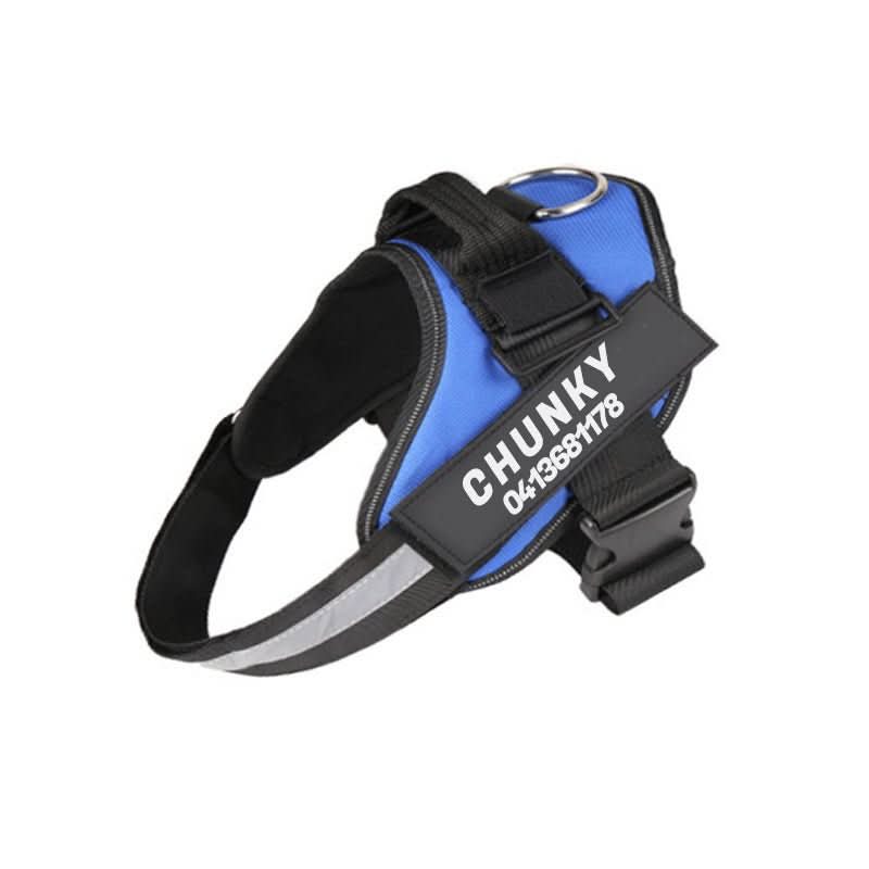 BowLift | DOGSAFE HARNESS – Safety dog harness with name tag & reflectors
