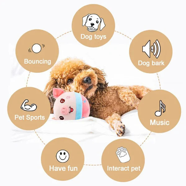 BowLift | Active Moving Pet Plush Toy