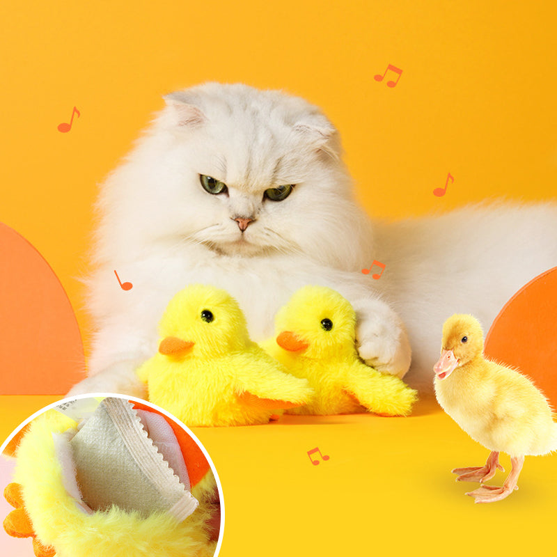 BowLift | Cat Toys Rechargeable Flapping Duck