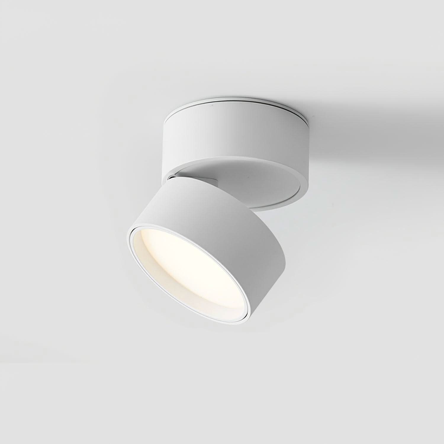 BowLift | Adjustable Surface LED Ceiling Light Warm White