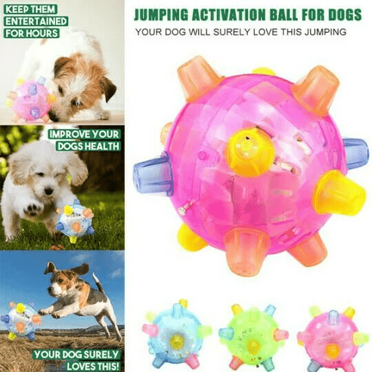 BowLift | Interactive LED Jump Ball for Dogs