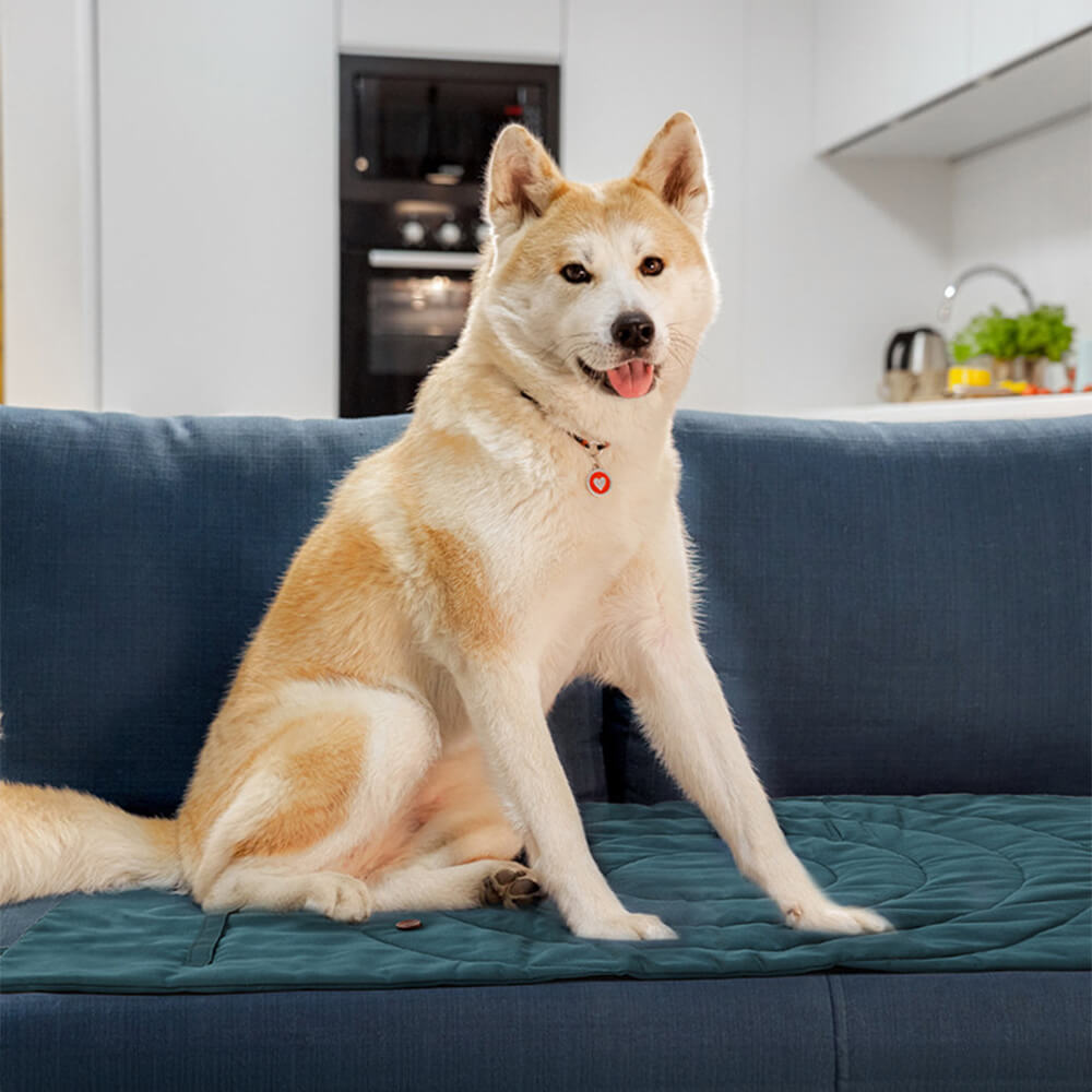 BowLift | Folding Waterproof Portable Dog Car Seat Mat Dog Camping Mat