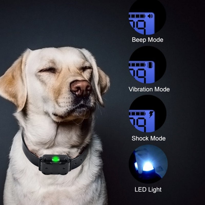 BowLift | Long Shot Electric Dog Training Waterproof Collar