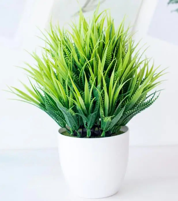 BowLift | Small Tree Pot Bonsai Plants