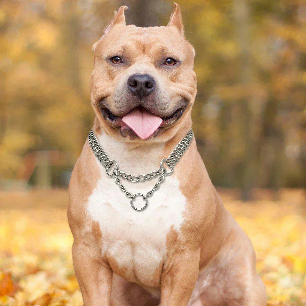 BowLift | Stainless Steel Dog Training Necklace