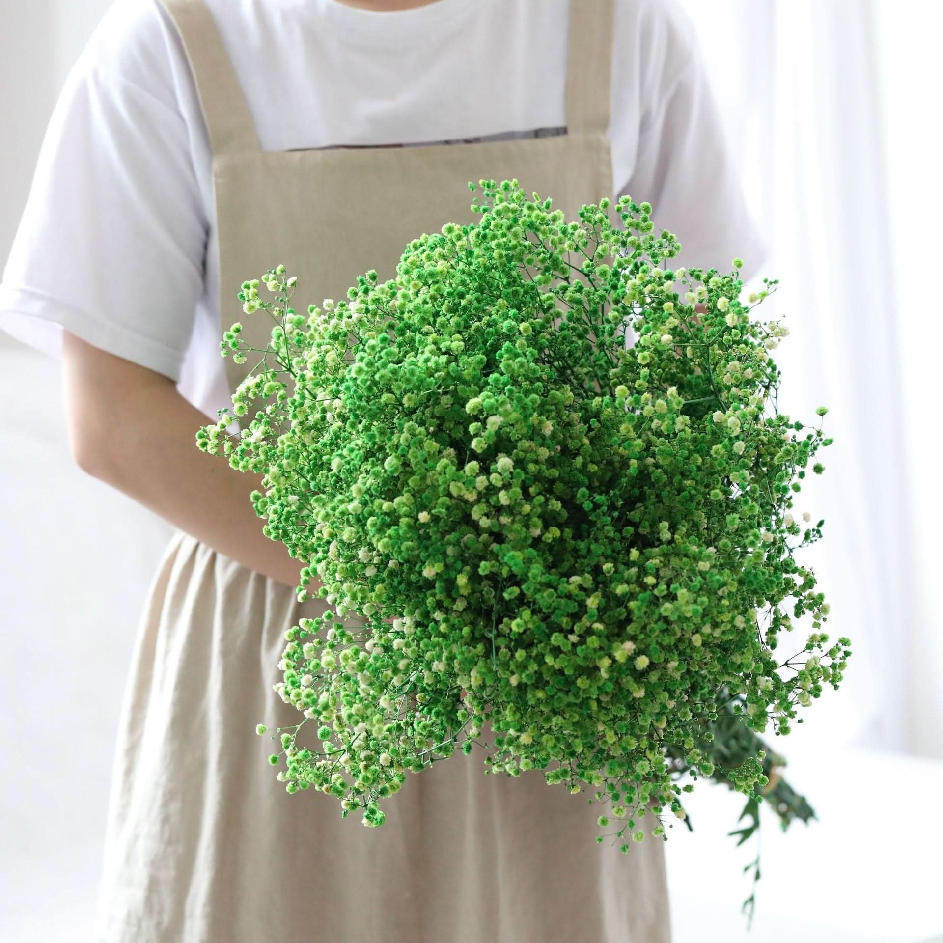 BowLift | Dried Preserved Gypsophila Flower Bouquet – Natural Decor
