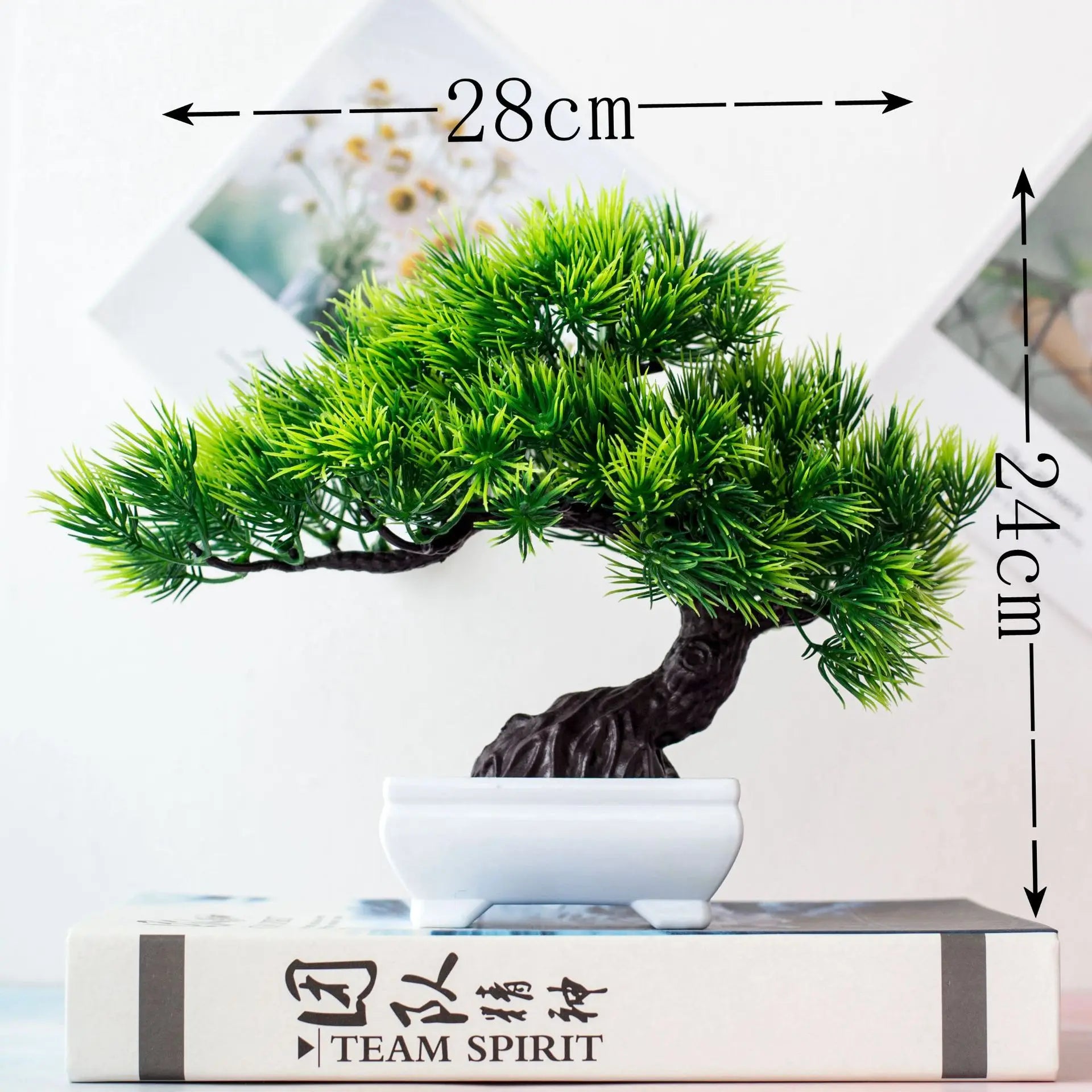 BowLift | Small Tree Pot Bonsai Plants