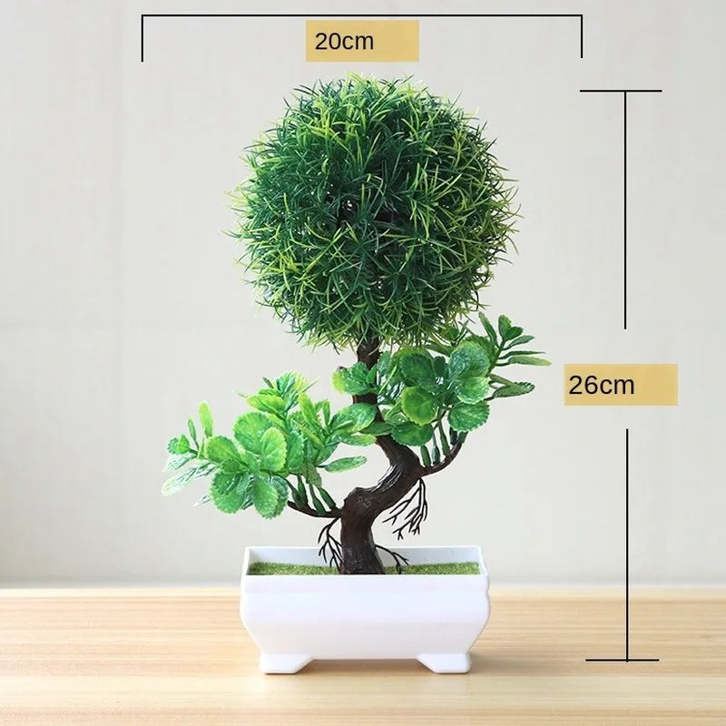 BowLift | Small Tree Pot Bonsai Plants