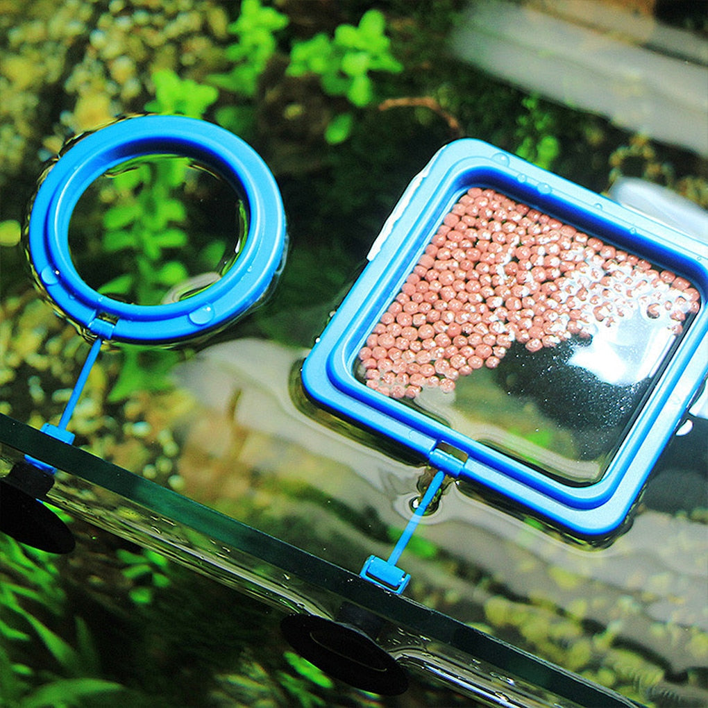 BowLift | Aquarium feeding ring