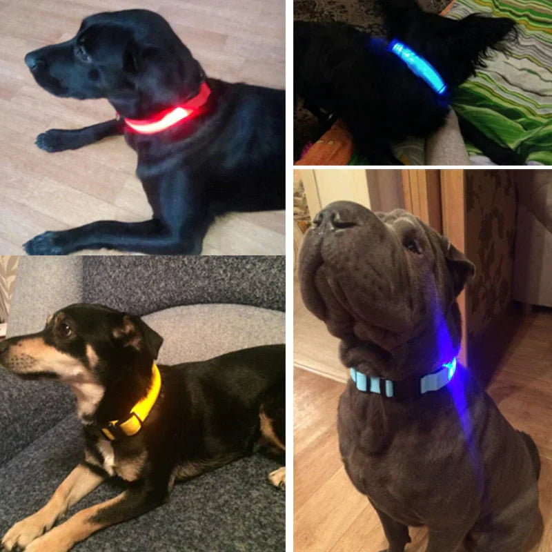 BowLift | GlowPets LED Collar – Safety & Visibility for Pets