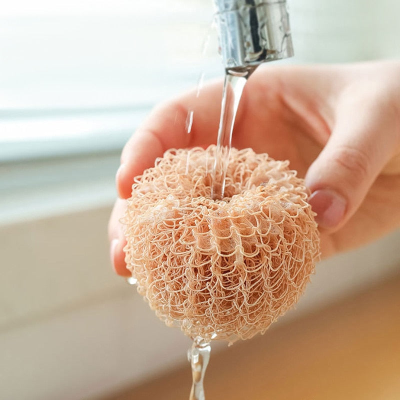 BowLift | Surprise Egg Kitchen Cleaning Brush