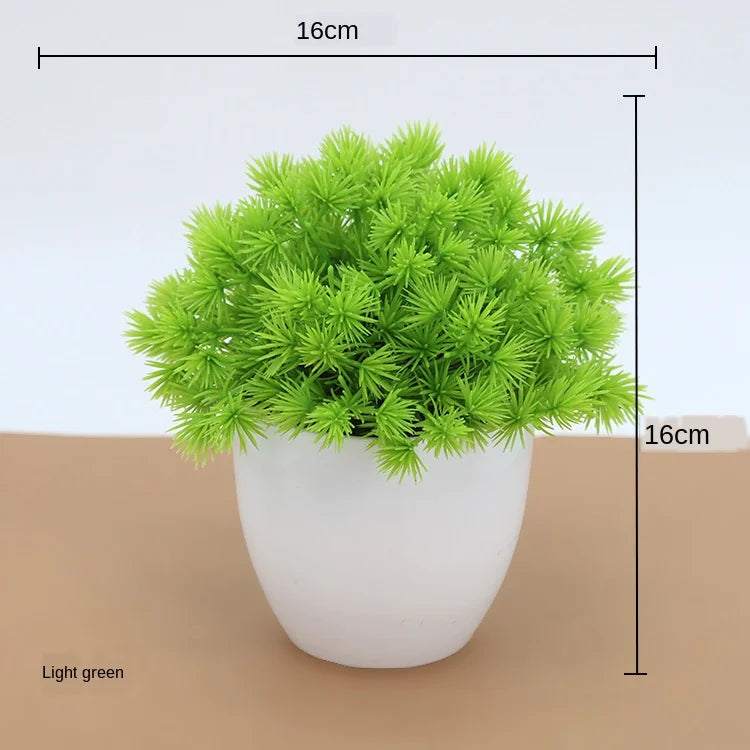 BowLift | Small Tree Pot Bonsai Plants