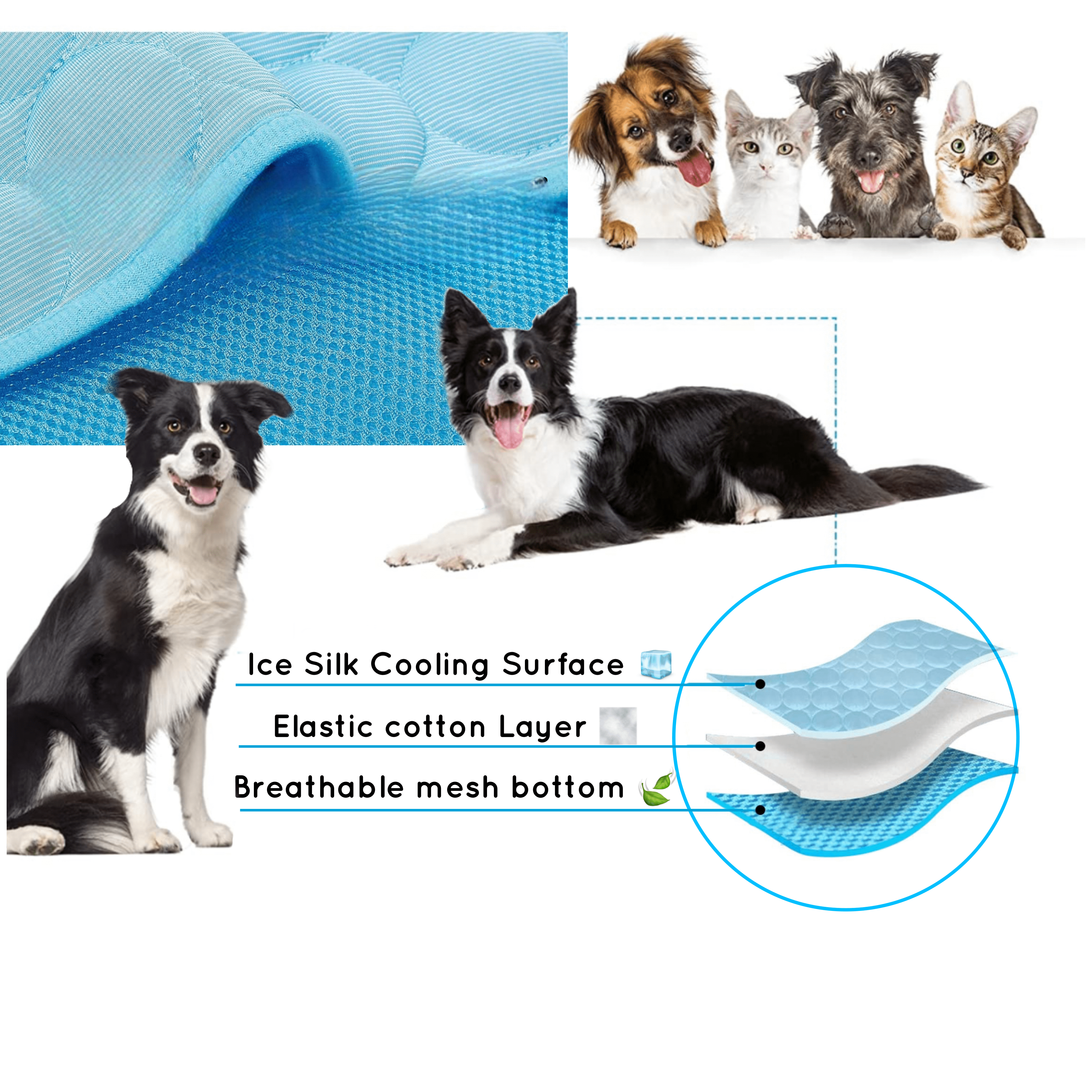 BowLift | Dog&Cat Cooling Mat "Frisvriend" – Comfortable Self-Cooling Mat for Pets