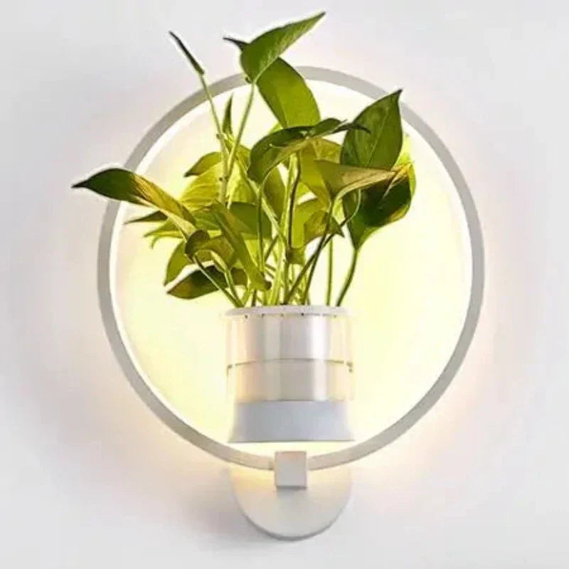 BowLift | Luminaire Sconce - Plant Wall Light