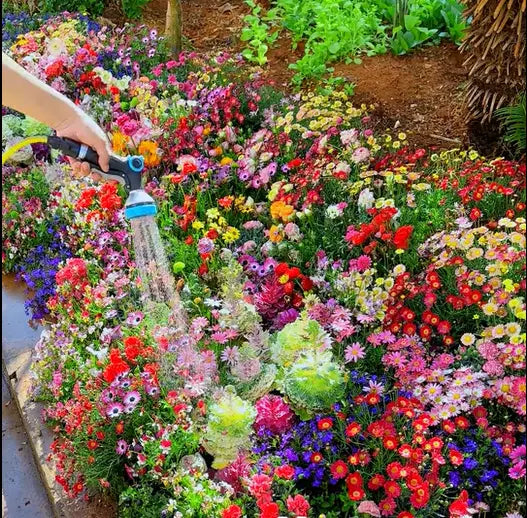 BowLift | Perennial Flower Mix for Year-Round Blossom Beauty