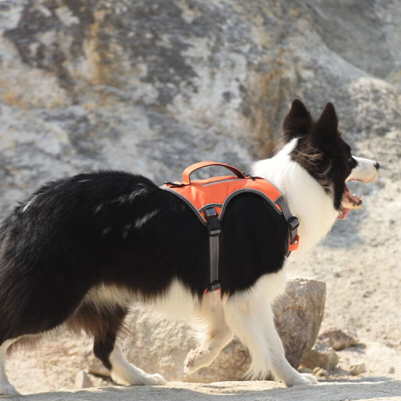 BowLift | Multifunctional explosion-proof anti-pull harness for medium to large dogs harness
