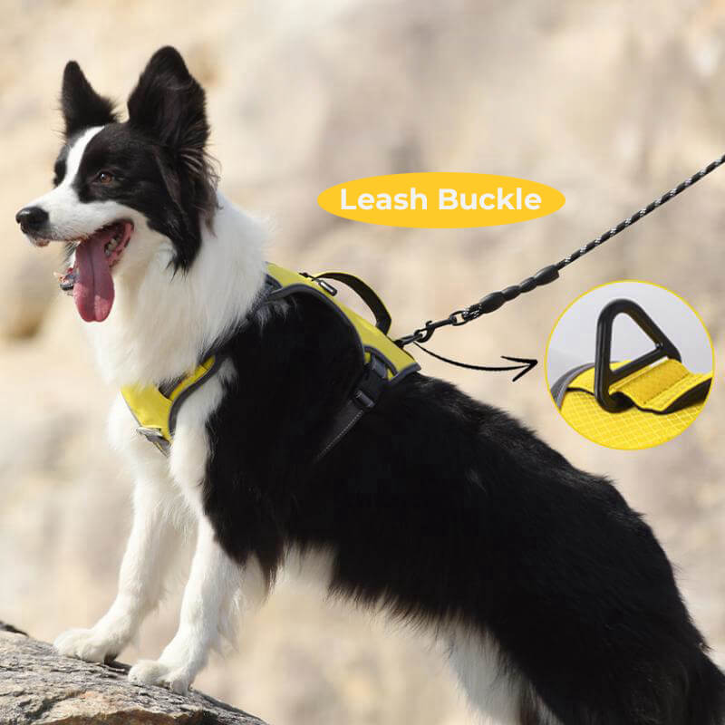 BowLift | Multifunctional explosion-proof anti-pull harness for medium to large dogs harness