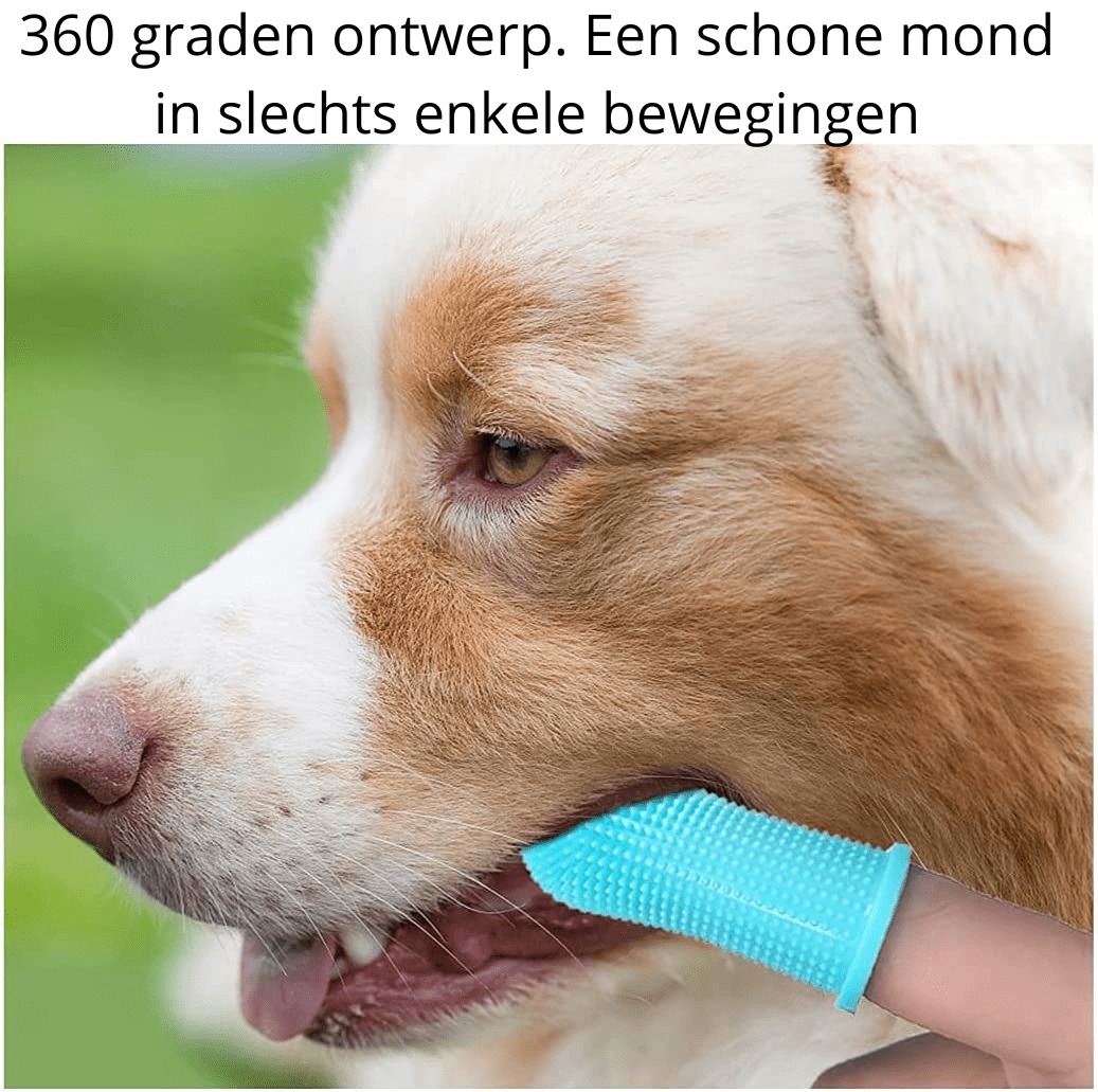 BowLift | 360° silicone finger toothbrush for safe dental care for dogs