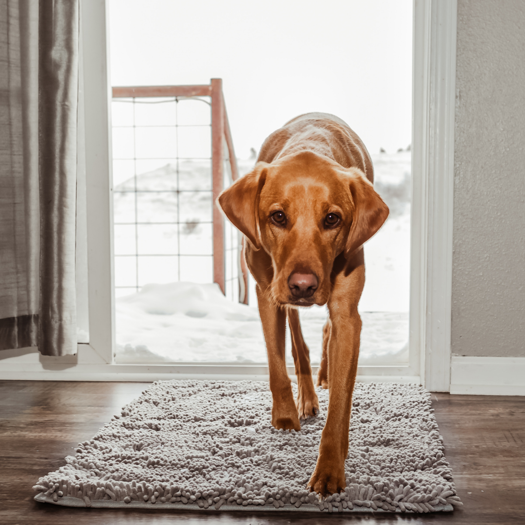 BowLift | Joep Dog Door Mat – Super Absorbent Mat for Dirty Paws