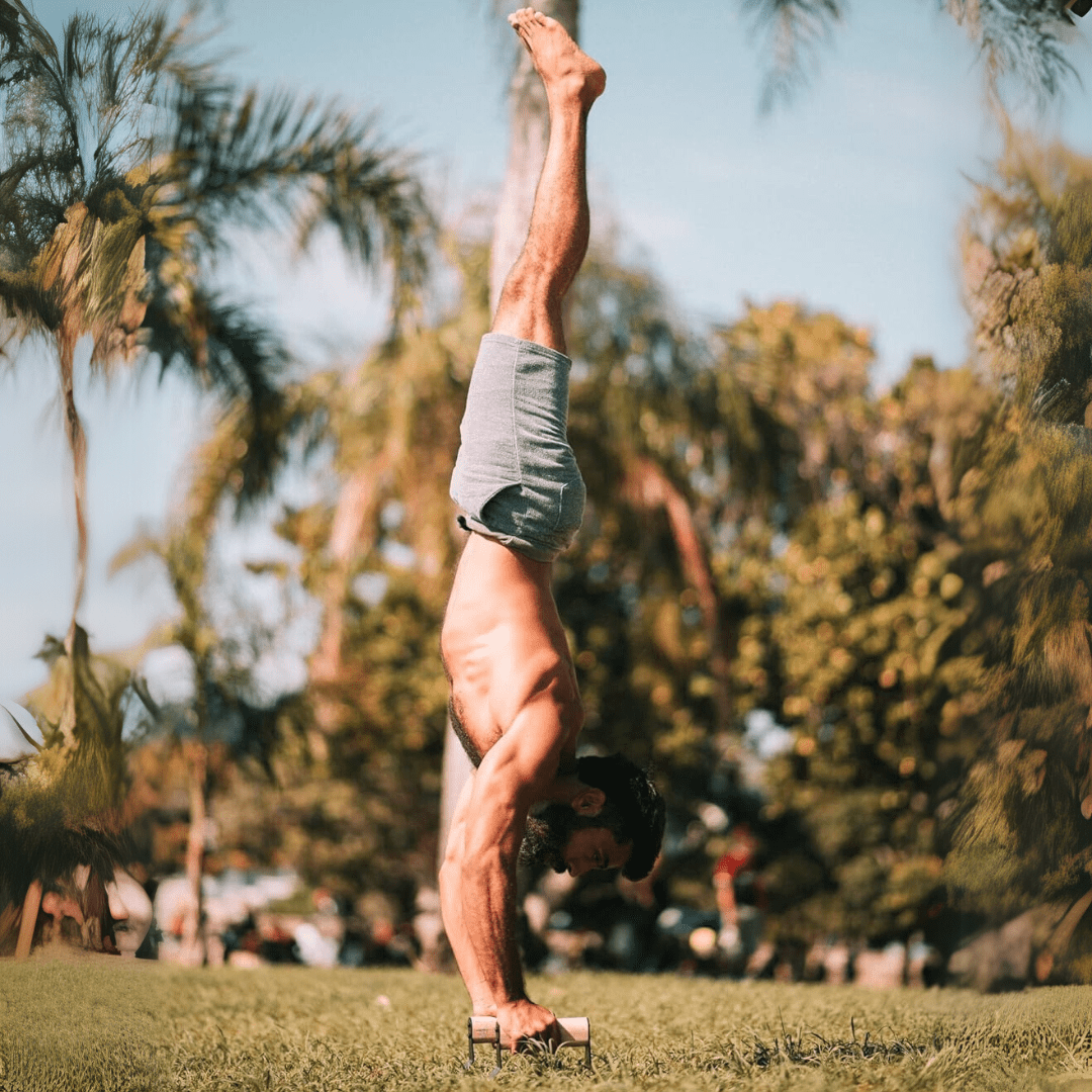 BowLift | Ergonomic wooden parallettes for safe push-up training