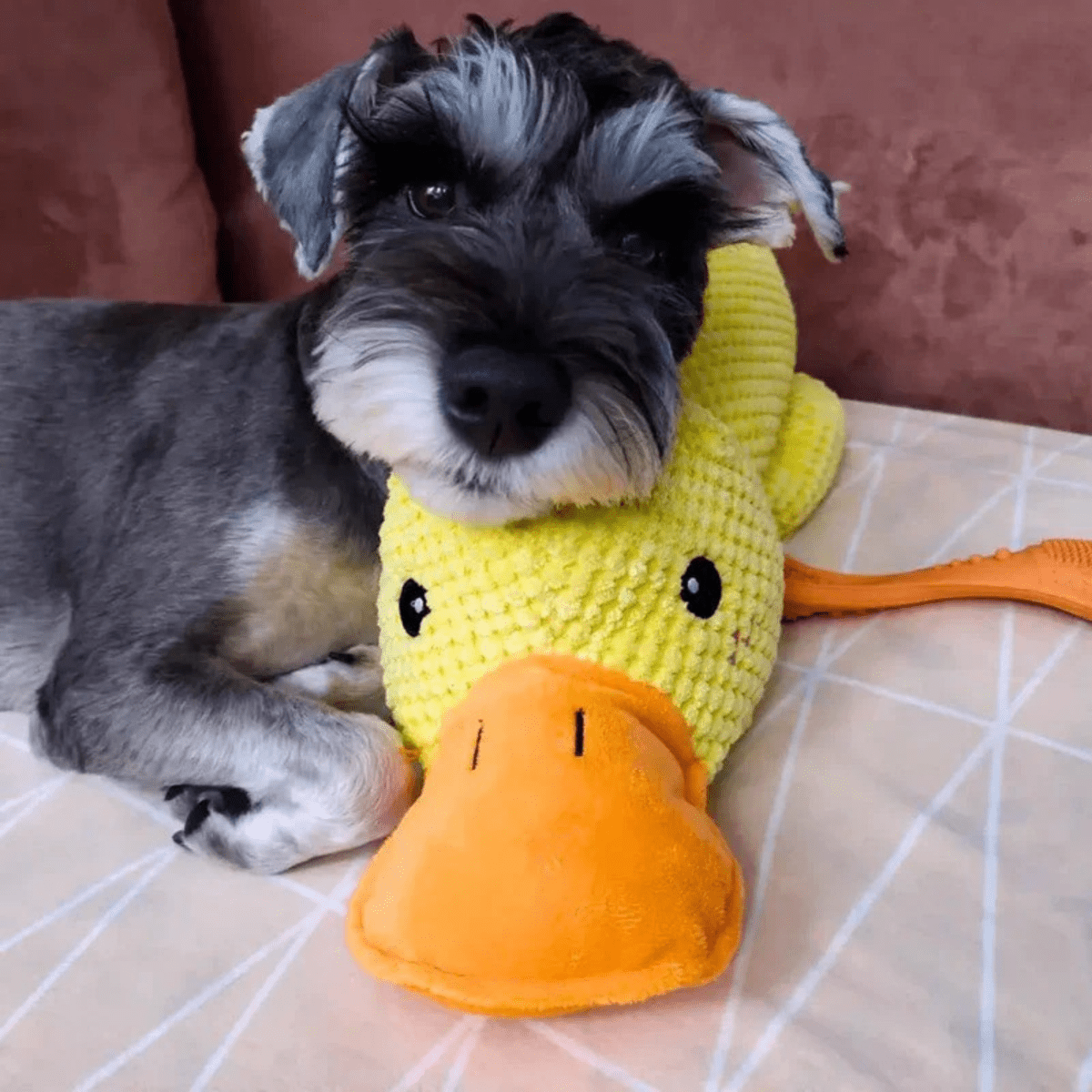 BowLift | SnuggleBeak Plush Toy for Dogs | Soft Squeaky Duck | Durable Cuddly Toy | Comfort Toy | Dog Accessories