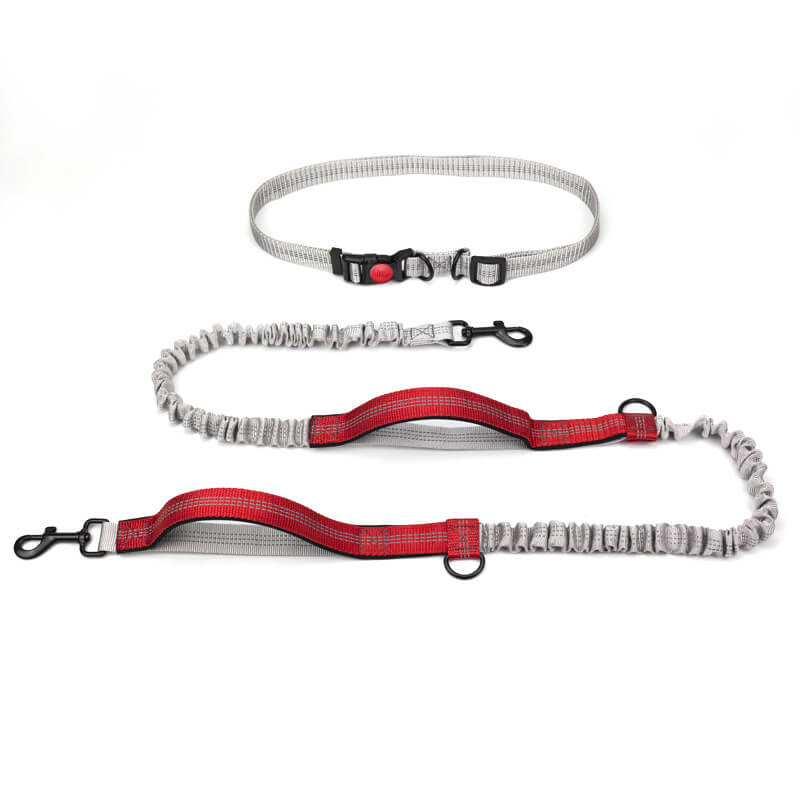 BowLift | Telescopic Double Grip Multifunctional Dog Leash