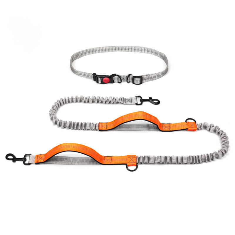 BowLift | Telescopic Double Grip Multifunctional Dog Leash