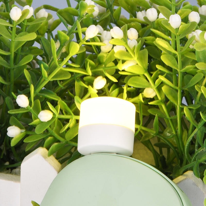 BowLift | 5 Piece Eye Lamp