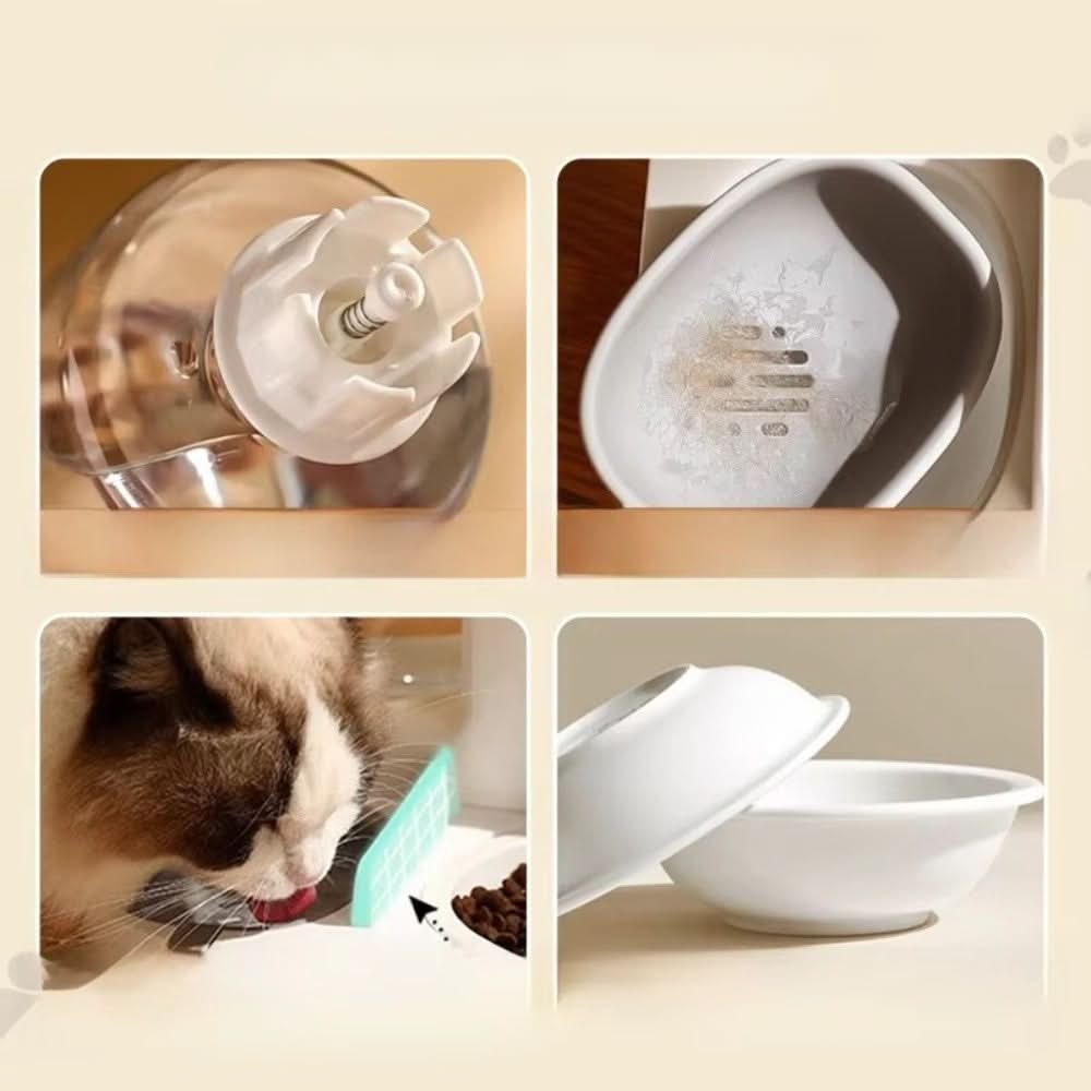 BowLift | Automatic Food & Water Dispenser for Pets