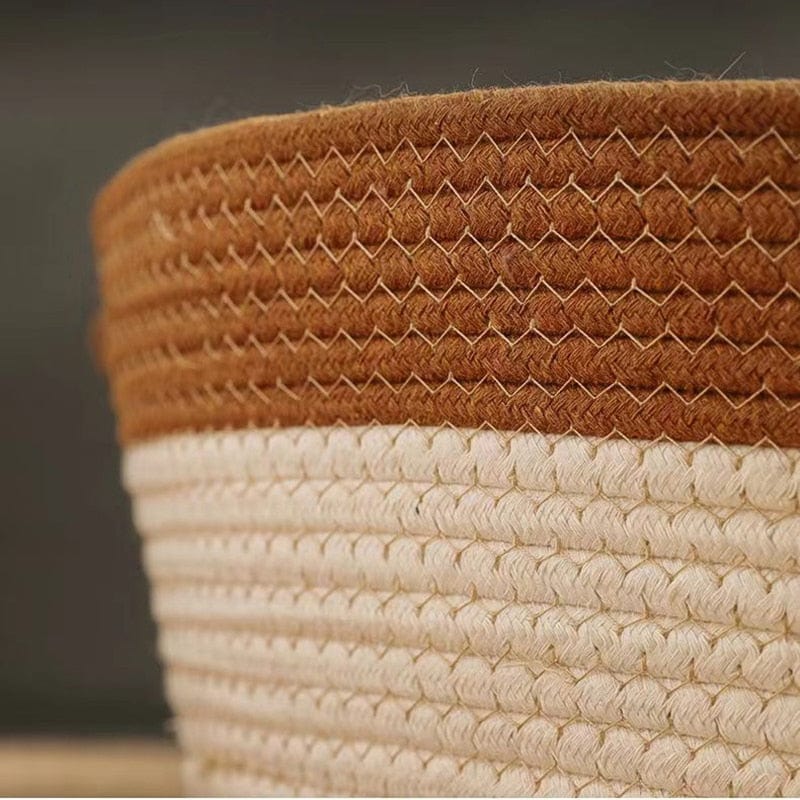 BowLift | CoolPaws Restful Cooling Escape