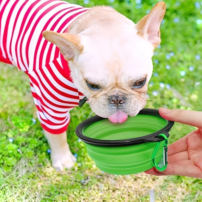 BowLift | Collapsible Silicone Pet Bowl for Travel