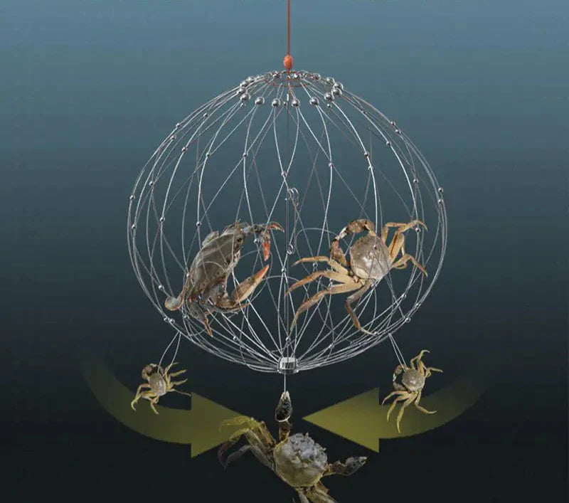 BowLift | AutoTrap Fishing Net Cage