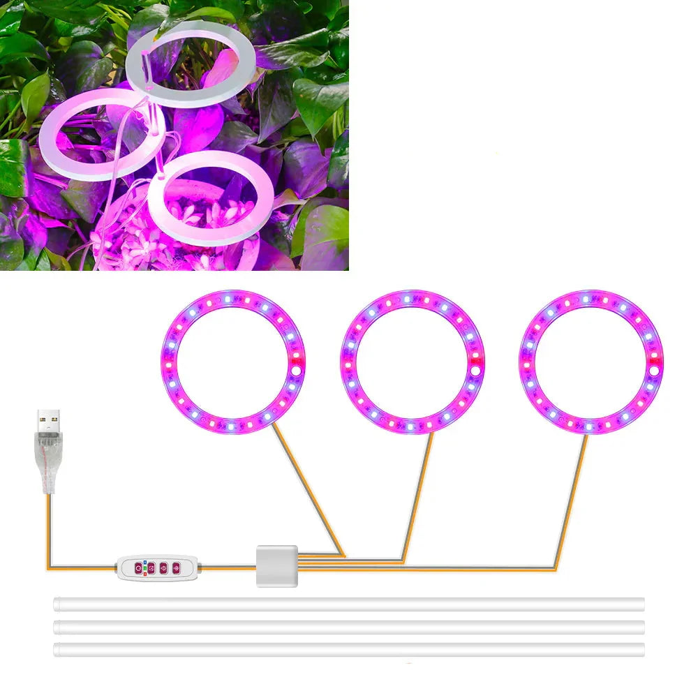 BowLift | Plantuno Ring Plant Light | LED Grow Light with Timer | USB | Dimmable & 3 Light Colors | 1–4 Heads