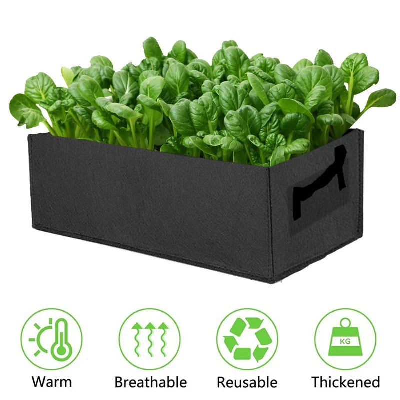 BowLift | Foldable storage box made of felt for plants with handles
