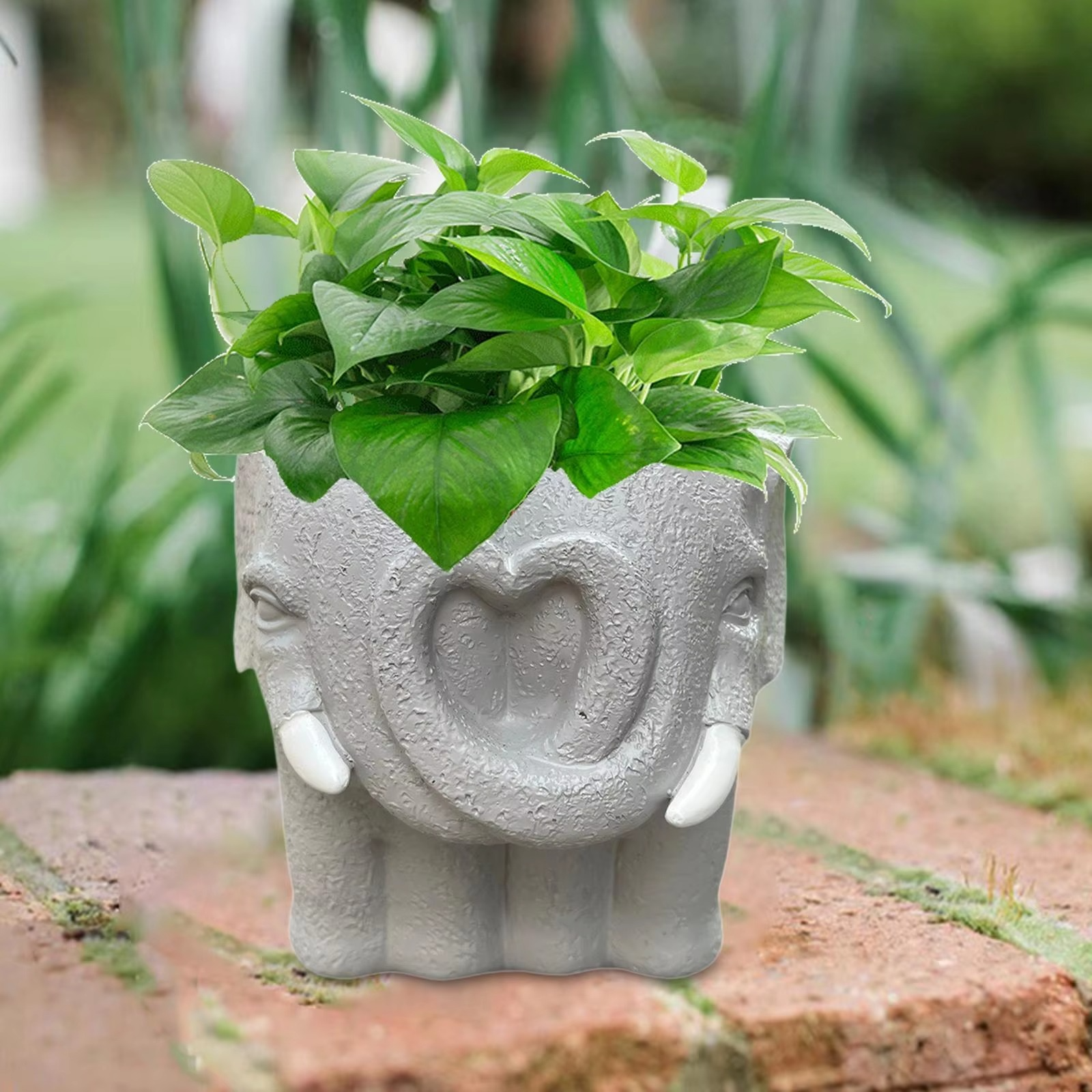 BowLift | Adorable Cartoon-Styled Mini Plant Pot for Decorative Display