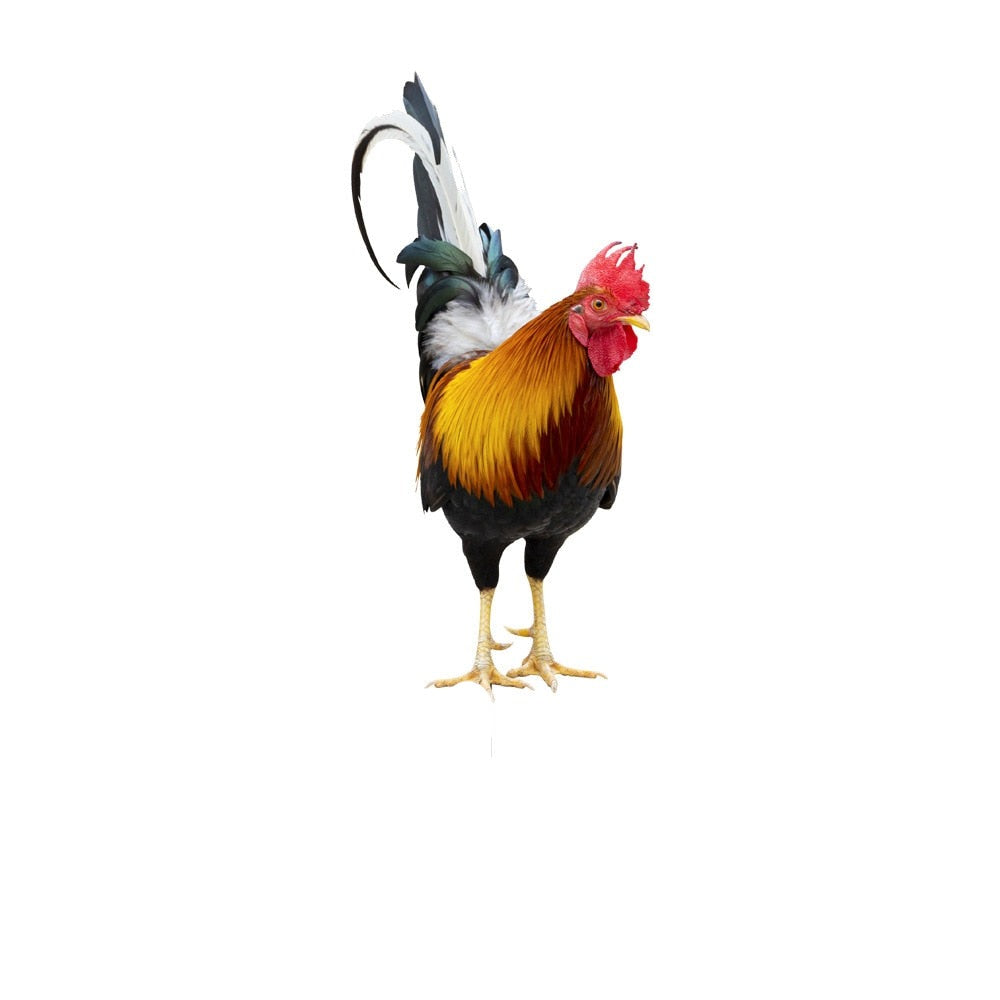 BowLift | Garden figure: Feathered beauty