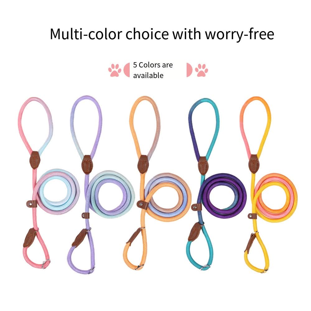 BowLift | Colorful Dog Leash for Stylish Walks