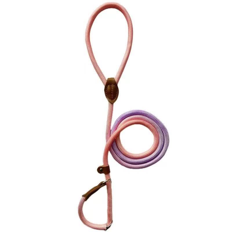BowLift | Colorful Dog Leash for Stylish Walks