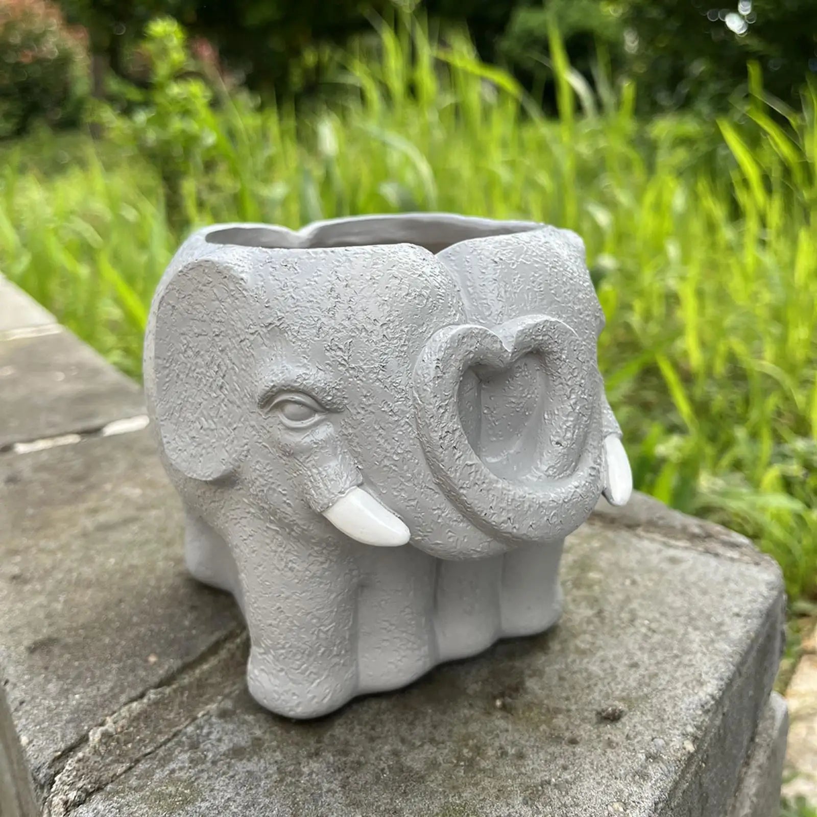 BowLift | Adorable Cartoon-Styled Mini Plant Pot for Decorative Display