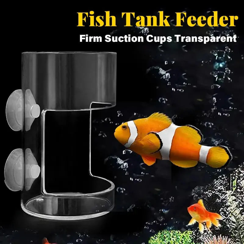 BowLift | Clean Aquarium Feeder - Buy 1, Get 1 Free!