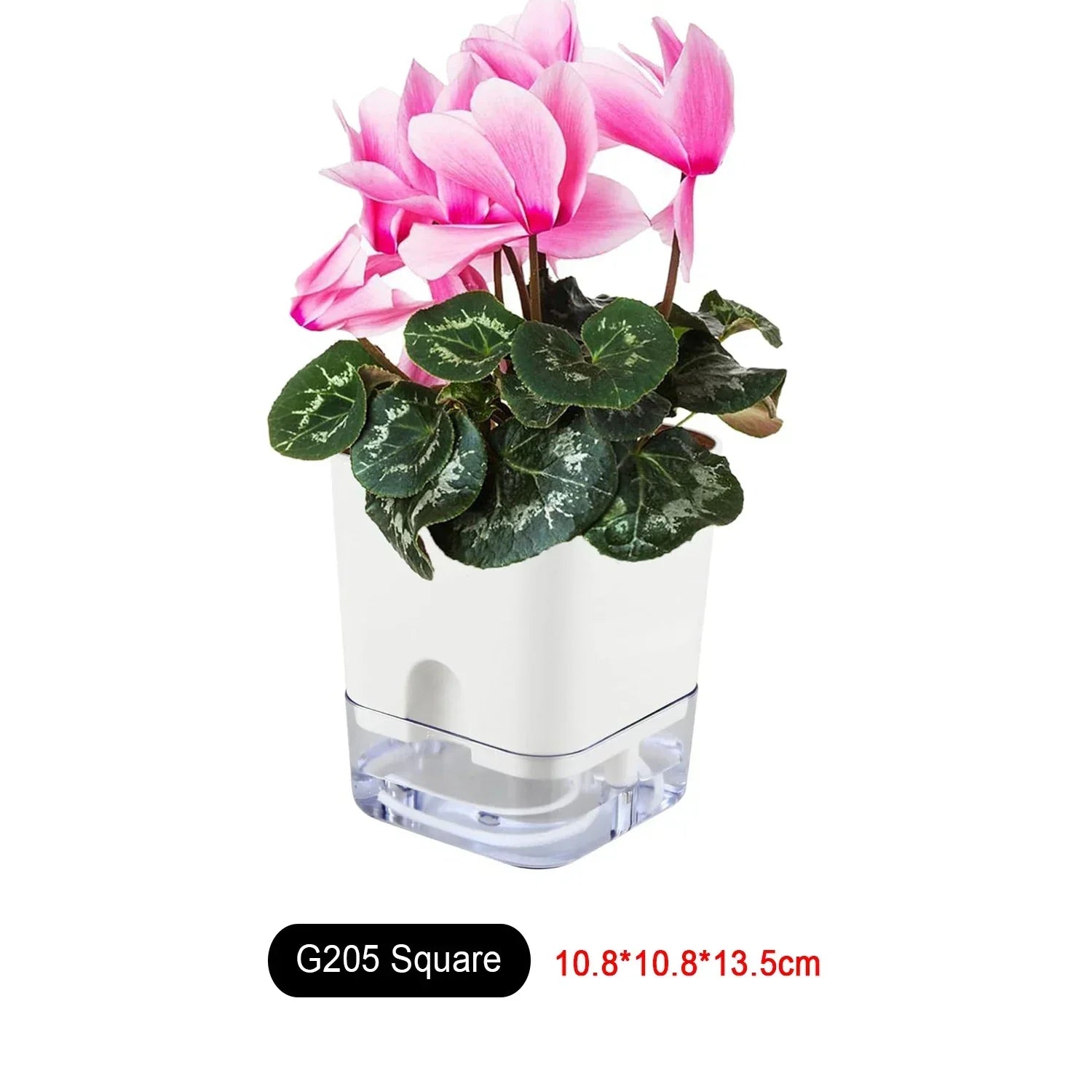 BowLift | HydroLino Flower Pot | Self-Watering | Compact & Transparent | For Indoor Use
